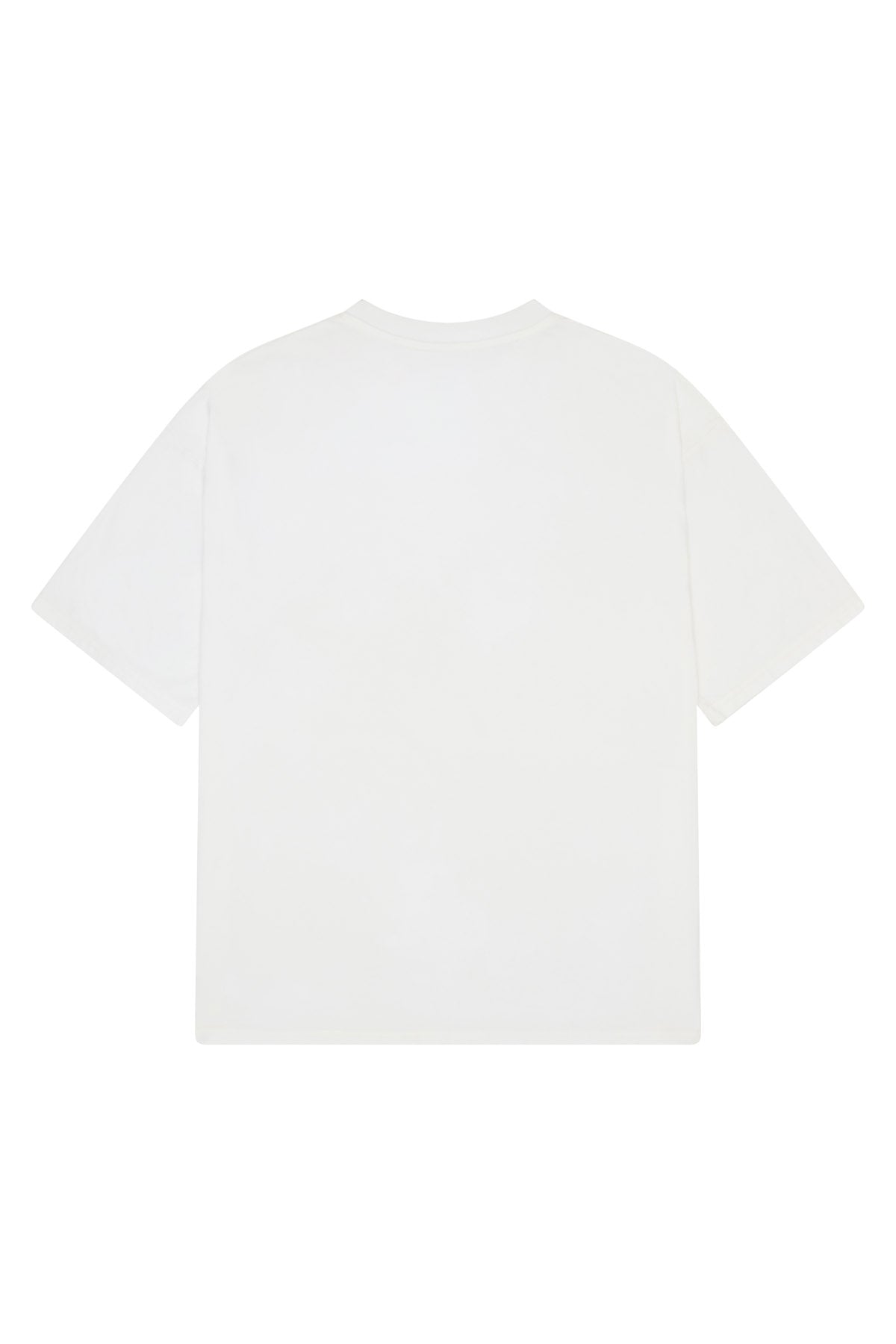 SIGNATURE  T SHIRT - BONE